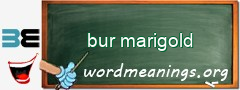 WordMeaning blackboard for bur marigold